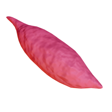Sweet Potato  3D Icon