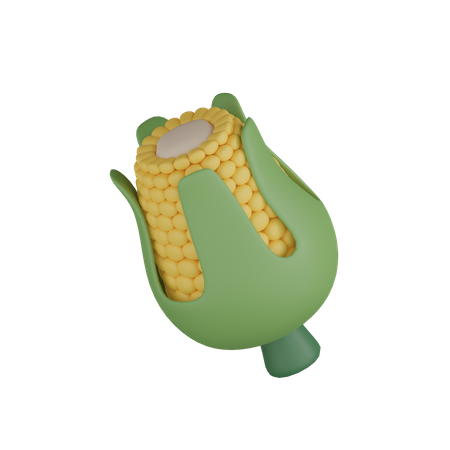 Sweetcorn  3D Icon