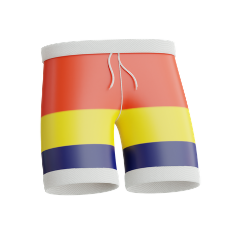 Swimming Trunks  3D Icon