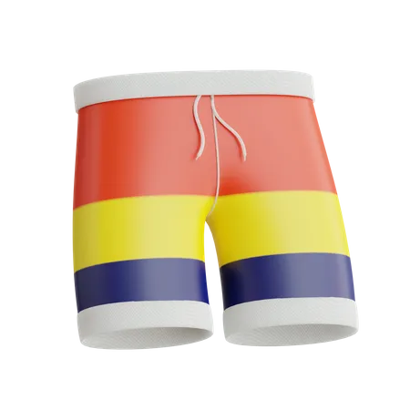 Swimming Trunks  3D Icon