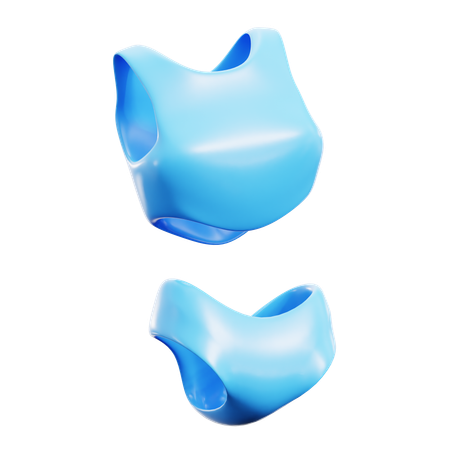 Swimsuit  3D Icon