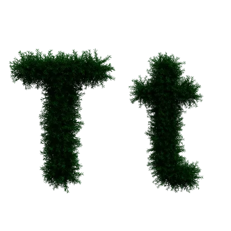 3 D Illustration Of Wreath Leaf Concept Alphabet Lowercase And Uppercase In Png High Resolution 3000 Px And Blend File Ready 3D Illustration