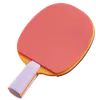 Tabble Tennis Paddle