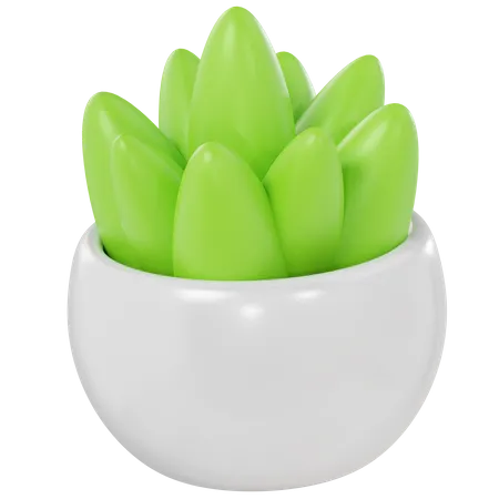 Table Plant  3D Icon