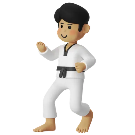 Taekwondo Fighting Stence Boy  3D Illustration