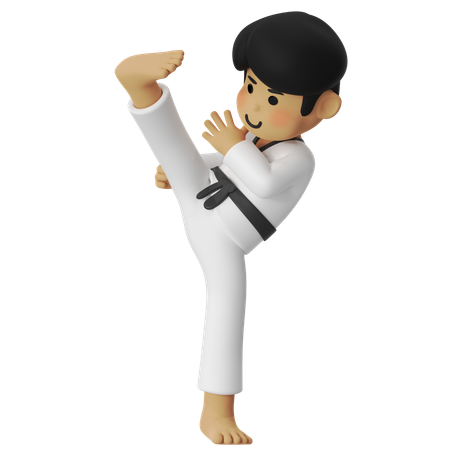 Taekwondo High Kick Boy  3D Illustration