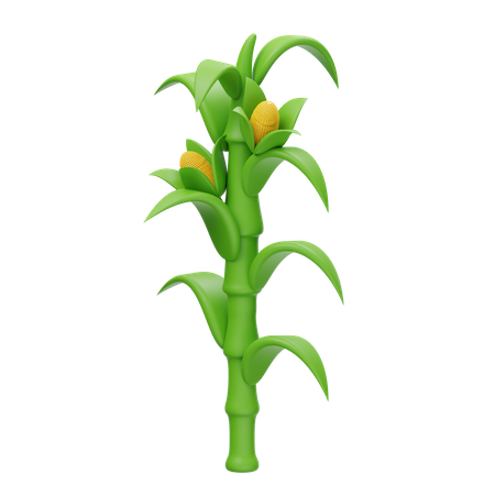 Talo de milho  3D Icon