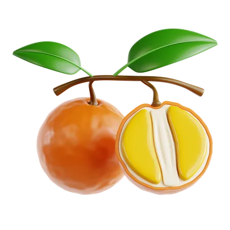 Tangerine  3D Icon