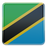 3ds of tanzania flag