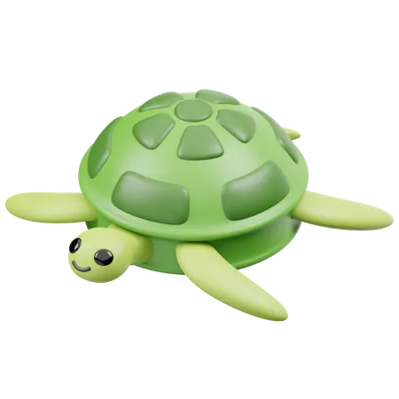 Tartaruga  3D Icon