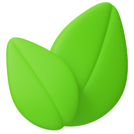Tea Leaf  3D Icon