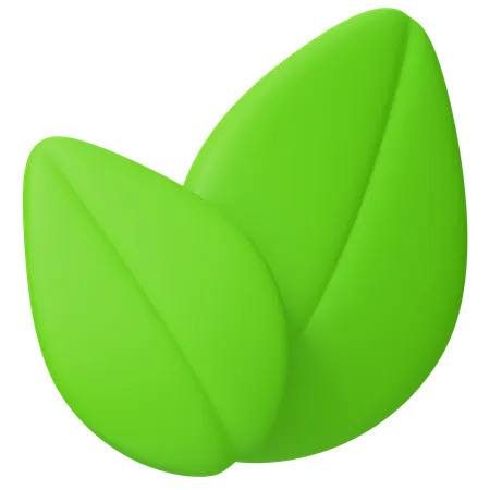Tea Leaf  3D Icon