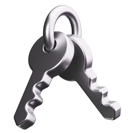 Llave de la casa  3D Icon