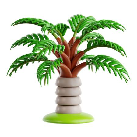 Teddy Bear Palm  3D Icon