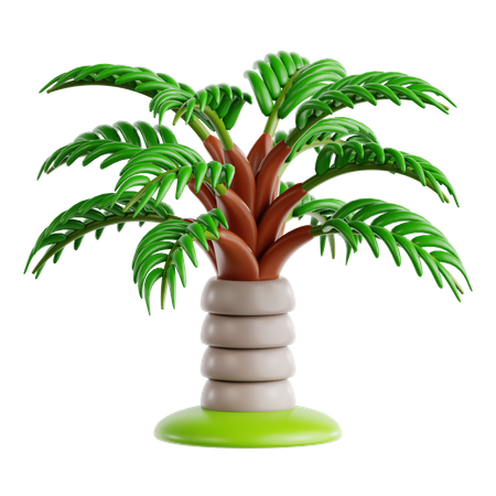 Teddy Bear Palm  3D Icon