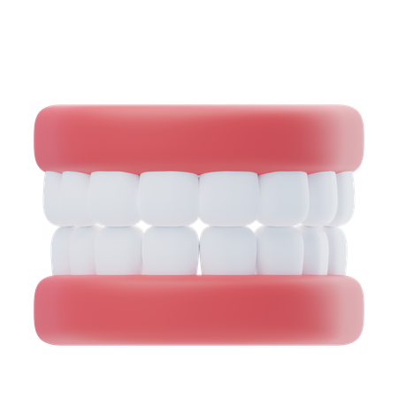 Teeth  3D Icon