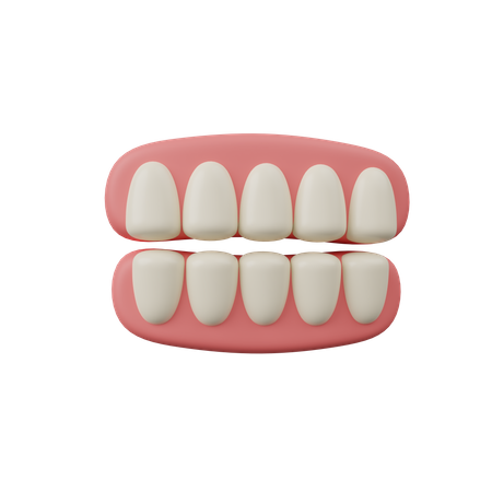 Teeth  3D Icon