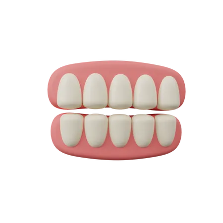 Teeth  3D Icon