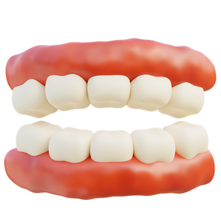 Teeth  3D Icon