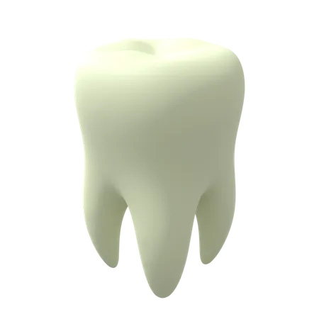 Teeth  3D Illustration