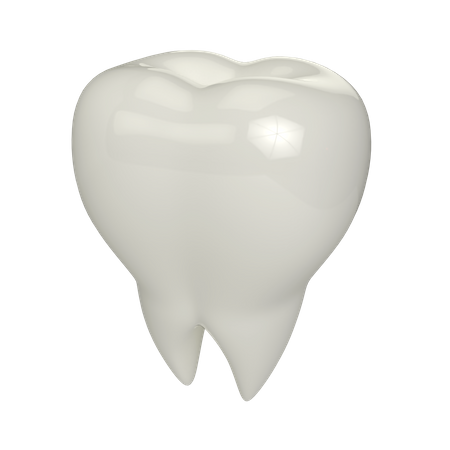 Teeth  3D Illustration