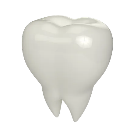 Teeth  3D Illustration