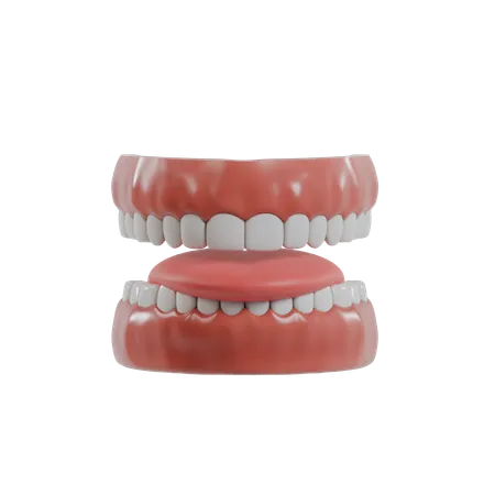Teeth And Tongue  3D Icon