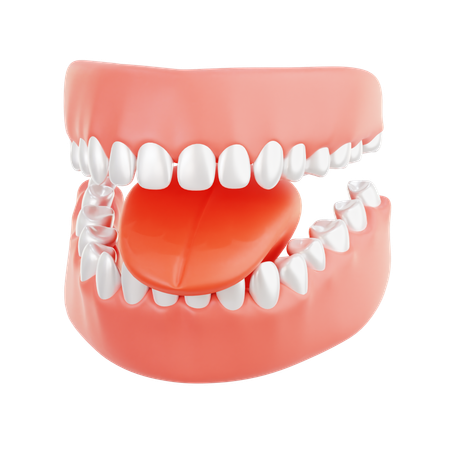 Teeth Brace  3D Icon