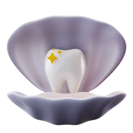 Teeth In Shell  3D Icon