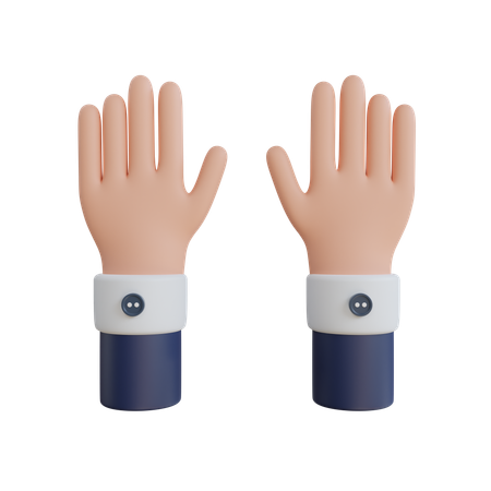 Ten Finger Hand Gesture  3D Icon