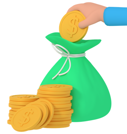 Bolsa de dinero  3D Icon