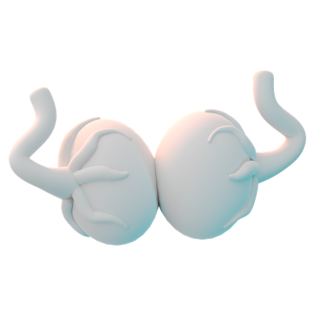 Testicle  3D Icon