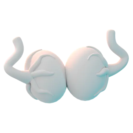 Testicle  3D Icon