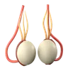 Testicles