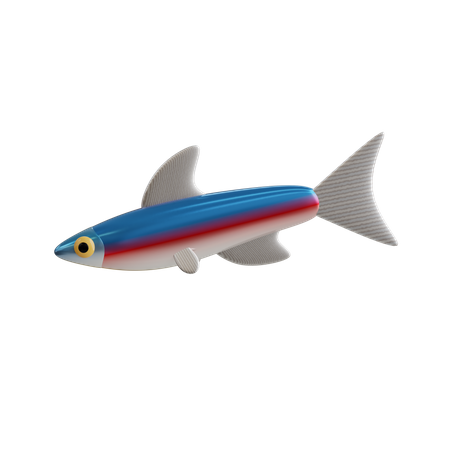 Tetra neón  3D Icon