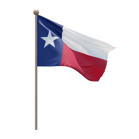 Texas Flag Pole  3D Illustration