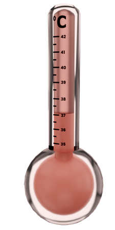 Thermomètre  3D Icon