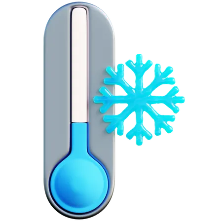 Thermomètre avec flocon de neige  3D Icon