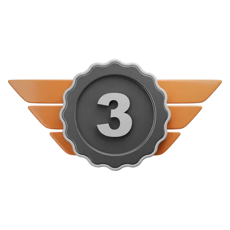 Third Award  3D Icon