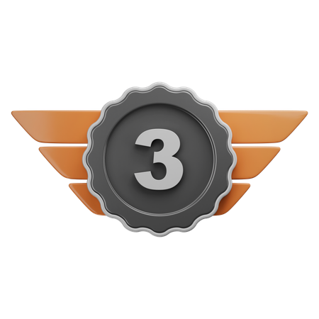 Third Award  3D Icon