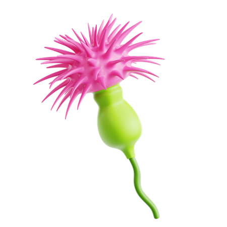 Thistle  3D Icon