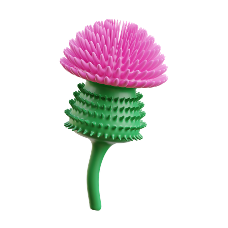 Thistle  3D Icon