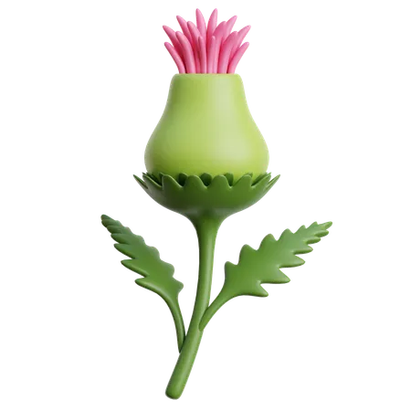 Thistle Flower  3D Icon
