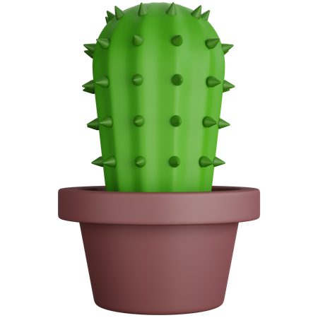 Thorny Cactus Plant  3D Icon