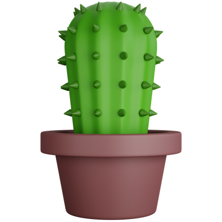 Thorny Cactus Plant  3D Icon