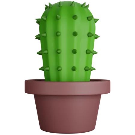 3 D Rendering Thorny Cactus Plant Isolated 3D Icon