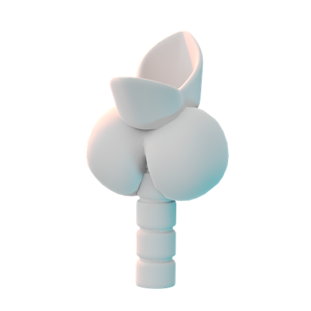 Thyroid  3D Icon