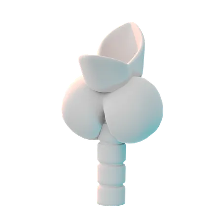 Thyroid  3D Icon