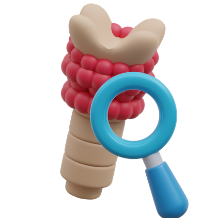 Thyroid Function Test  3D Icon