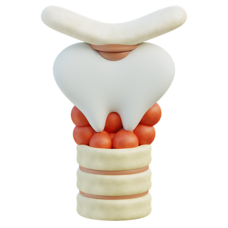 Thyroid Gland  3D Icon